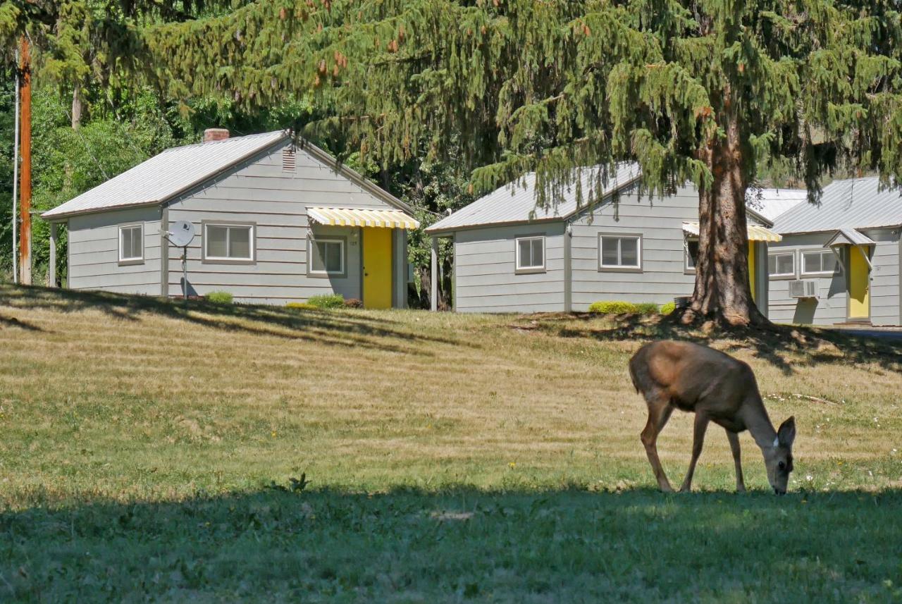 Idle A While Cabins Twisp Extérieur photo